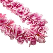 �ò�/JL/�ץ��ꥢ�쥤�����֥롡�ԥ�B/����FL100B