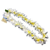 ���ò��ۥ��󥰥�ץ��ꥢ�쥤/�ۥ磻�ȡ���������/FL391