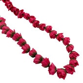 ���ò���Kapalili���󥰥�������Хåɥ쥤/ǻ���ԥ���γ/FLKP404