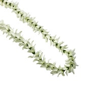 ���㥹�ߥ󡡥��󥰥���󥰥쥤 /����FL217B