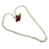 �ò���Kapalili �ԥ��� ���󥰥���󥰥쥤/���եۥ磻��/FLKP413