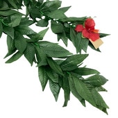 ���󥰥�ޥ���쥤 Maunaloa YHNZ0306 /FL443