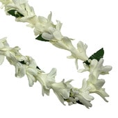 �ò� ISLAND���塼�٥�����/���꡼��/FL444