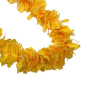 ���ò���Kapalili ���ҥꥸ�󥸥㡼�쥤 ��������/FLKP445