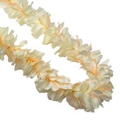 ���ò���Kapalili ���ҥꥸ�󥸥㡼�쥤 �ۥ磻��/FLKP446