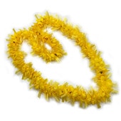 ���ò���Kapalili ���ϥ����ꥤ�쥤/����/��������(�ܥ�塼�ब����ޤ�)/FLKP448