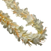 Kapalili ���ҥꥸ�󥸥㡼 �ۥ磻�� ���󥰥쥤 /FLKP451