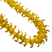 ���ò��ۥե�����ץ����˥��˥쥤/��������(��̩�٥����פ��ä��꥿����)/FLKP420B