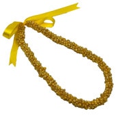 ��󥴥�������硼����/��������/52cm/����SL012E