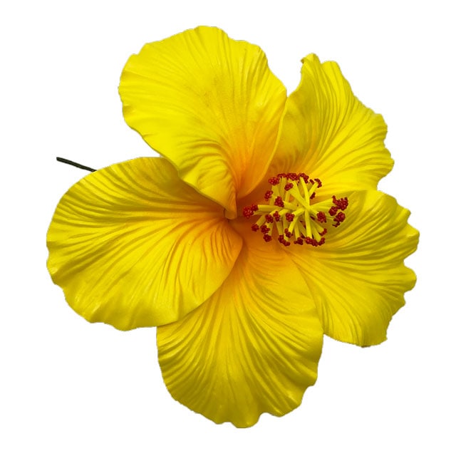 �ò���16.5��/�ϥ��ӥ������ե�����ԥå�/��������(��ʴ��¿������ޤ�)/����TF139