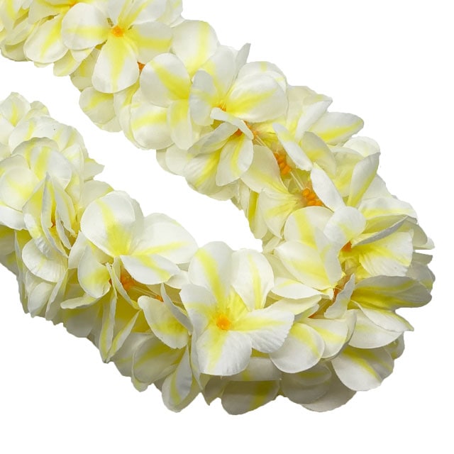 �ò���Kapalili �ץ��ꥢ�쥤�����֥�ܥ�塼��UP�����ס� ��������/�ۥ磻�ȡ� ����FLKP329DX