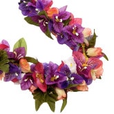 Kapalili�֡�����ӥꥢ�쥤 �ѡ��ץ�/����FLKP457