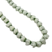 ローズ・カーネーション