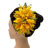 ���ò��ۥ��ѥ�������꡼���إ�������å� ��������(΢¦���Ѥ��ޤ���)/HP284C