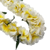 �ò���Kapalili �ץ��ꥢ�쥤 �ݥ��ݥ� �ۥ磻�ȡ���������������FLKP464B