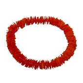 Kapaliliޥϥ(إåɥХ)  2.5cm/FHKP154