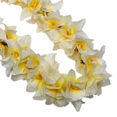 ���ò���NEW�������åɥ��֥�쥤�������������ۥ磻��/����FL478