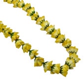 ���ò���Kapalili���󥰥�������Хåɥ쥤/��������/��γ/FLKP479