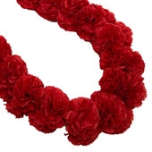 ���ò���Kapalili�����͡������ȥ�ץ�쥤/��å�/FLKP481