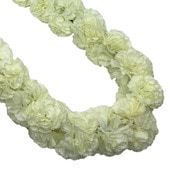 ���ò���Kapalili�����͡������ȥ�ץ�쥤���եۥ磻��//FLKP483