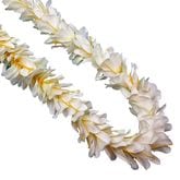 Kapalili ���ҥꥸ�󥸥㡼 �ۥ磻�� ���󥰥쥤 /FLKP451B