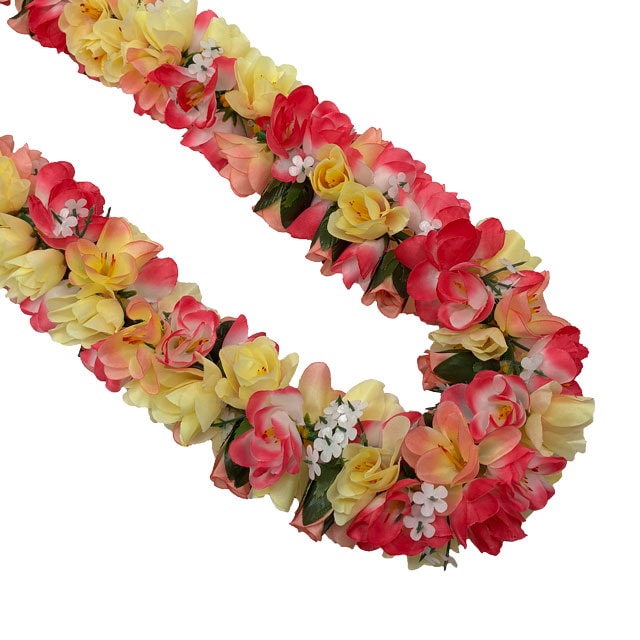 ���ò���Kapalili���󥸥㡼�쥤 ���ڥ���� ø���ޥ�����顼/FLKP507