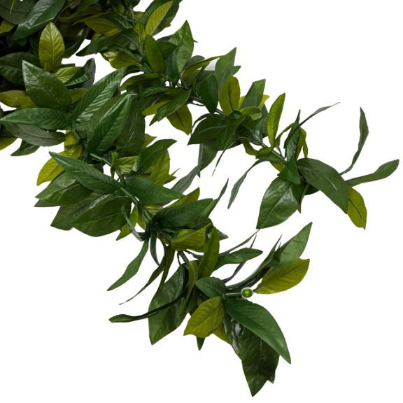 Kapalili�ޥ���쥤�ܥ�塼��UP��( �������㥫���㥫���Ƥ��ޤ�)/FL309G