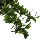 Kapalili�ޥ���쥤�ܥ�塼��UP��( �������㥫���㥫���Ƥ��ޤ�)/FL309G