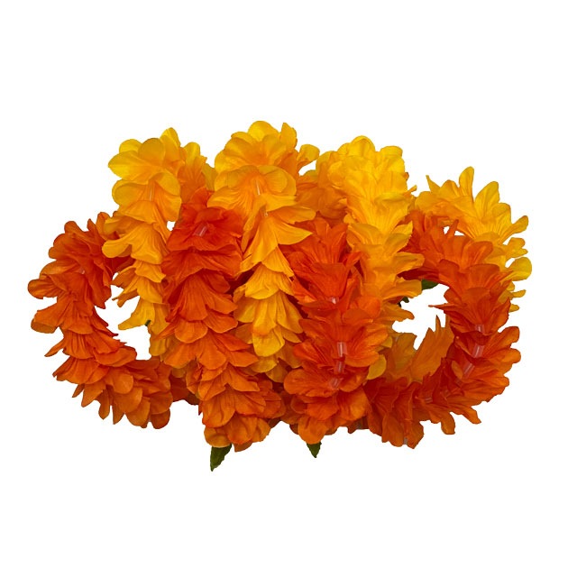 ���ò���Kapalili�ץ����˥��˥إ����������꡼ ����󥸡���������/����HP458