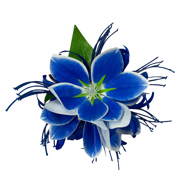 ���ò���Kapalili�ޥ��Υꥢ�إ����������꡼ �֥롼/����HP459