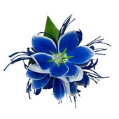 ���ò���Kapalili�ޥ��Υꥢ�إ����������꡼ �֥롼/����HP459