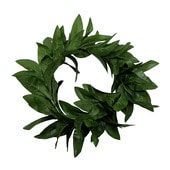 Alohaޥϥ(إåɥХ)꡼/FH158