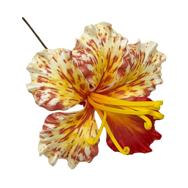 ���ò���10cm/���ϥ����꡼�ե�����ԥå�/�ʥ�����/����TF168