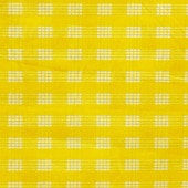 ϥ磻ե֥åʥݥ ѥ饫//PALAKA-891 YELLOW/HFR987