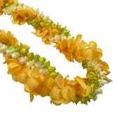 �ò�/Kapalili�ѥ���ʡ��ԥ������ץ����˥��� ���󥰥쥤/��150cm/FLKP510