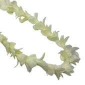 ���ò���NEW���塼�٥��������󥰥쥤 �ۥ磻��/FL408B