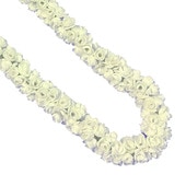 �ò� Kapalili���֥�ԥ����쥤/���եۥ磻��C(�夯�����Фޤ�)/FLKP428C