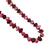 ���ò���Kapalili���󥰥�������Хåɥ쥤/�С�����ǥ��������/��γ/FLKP511