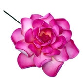 �ò� �����ǥ˥�/�ե�����ԥå�/�ԥ�/11cm/����TF172