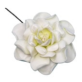 �ò� �����ǥ˥�/�ե�����ԥå�/�ۥ磻��/11cm/����TF173