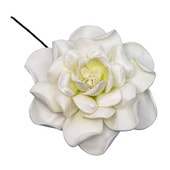 �ò� �����ǥ˥�/�ե�����ԥå�/�ۥ磻��/11cm/����TF173