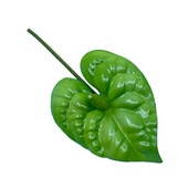 ���ò���9cm���󥹥ꥦ�� M/���꡼�� ����TF174