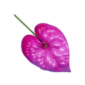 ���ò���9cm���󥹥ꥦ�� M/�ԥ� ����TF175