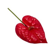 ���ò���9cm���󥹥ꥦ�� M/��å� ����TF176