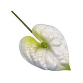 ���ò���9cm���󥹥ꥦ�� M/�ۥ磻�� ����TF177