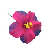 �ò���11cm/�ϥ��ӥ������ե�����ԥå�/�ԥ󥯡��ѡ��ץ�/����TF180