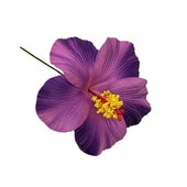 �ò���11cm/�ϥ��ӥ������ե�����ԥå�/�ѡ��ץ�/����TF181