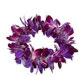 ���ò���Kapalili�������å�W�إåɥХ��/�ѡ��ץ�/FHKP160