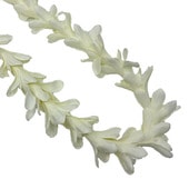 �ò�JL ISLAND���塼�٥������쥤 ���硼��/���꡼��/FL514