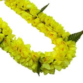 ���ò���Kapalili���󥸥㡼 �������� �쥤 ���ڥ���� /FLKP512